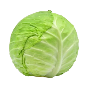 Fresh Vegetables Cabbage