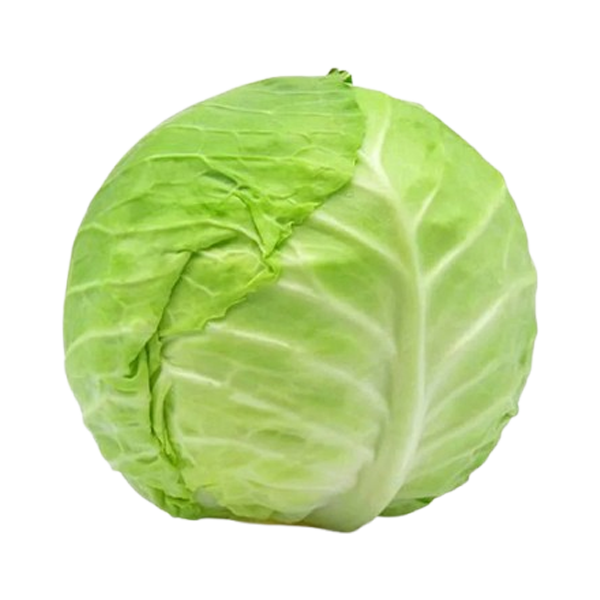 Fresh Vegetables Cabbage