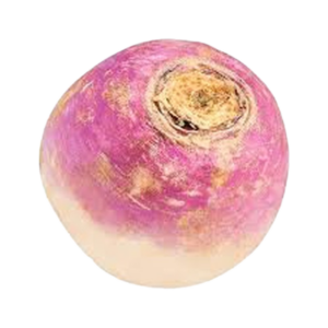 Fresh Turnip Available
