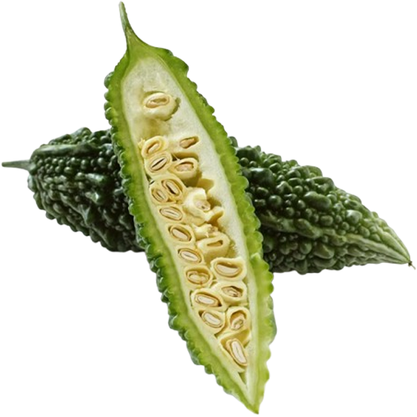 Nutritious Bitter Melon