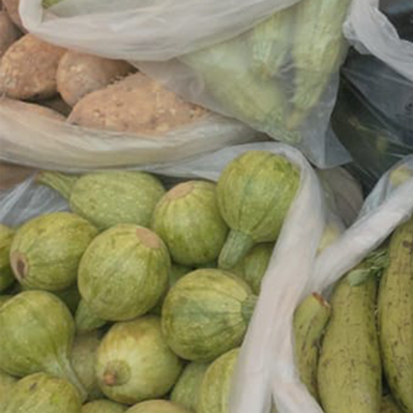 Fresh & Healthy Apple Gourd (Tinda) - Image 3