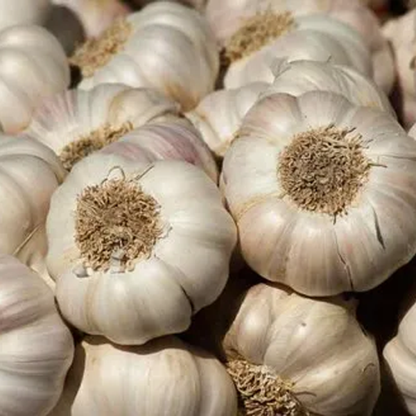 Fresh Garlic Adds Flavor. - Image 3