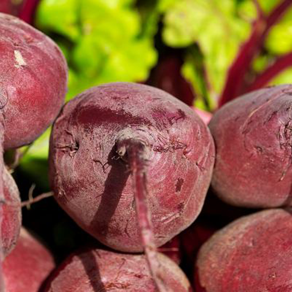 Beetroot is a vibrant, - Image 2