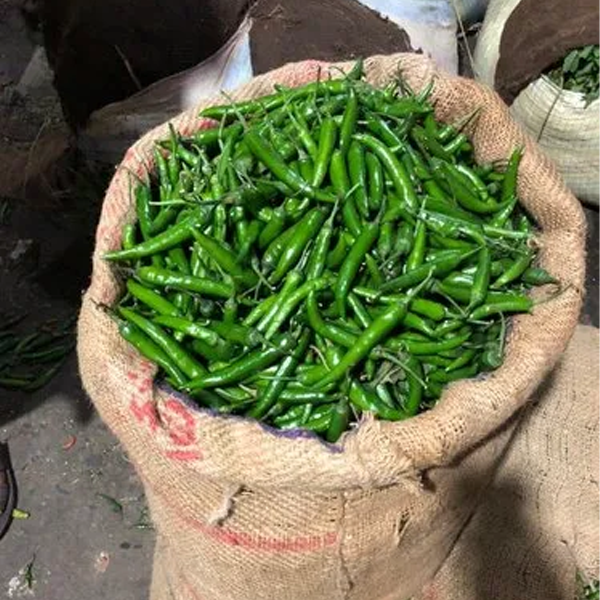 Green Chilli Fresh - Image 2