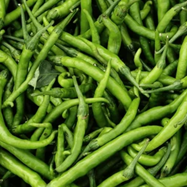 Green Chilli Fresh - Image 4